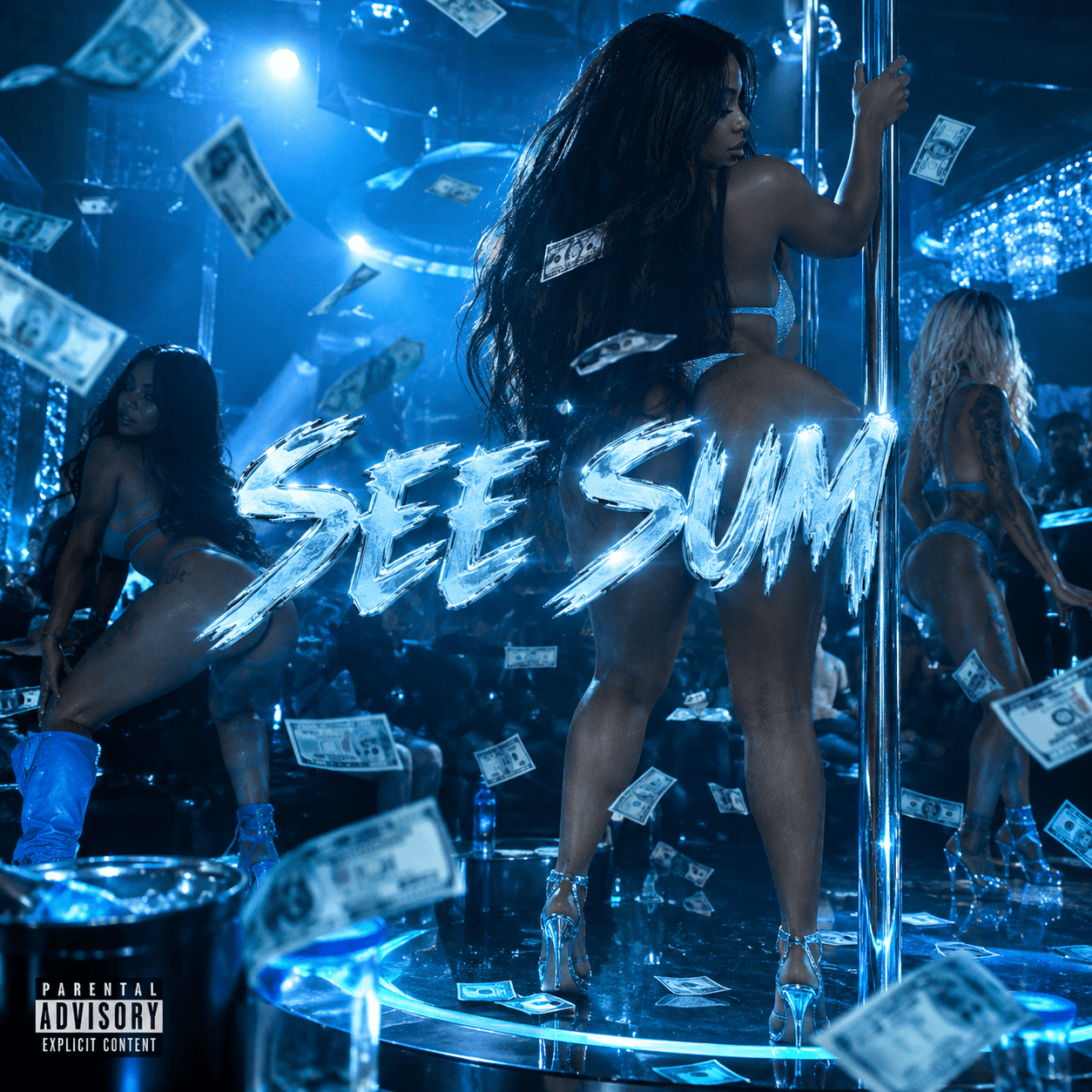 See Sum cover art