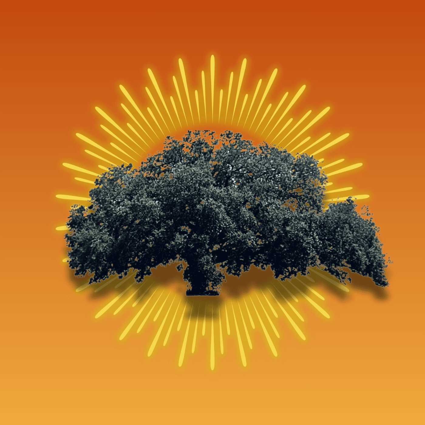 King cover art
